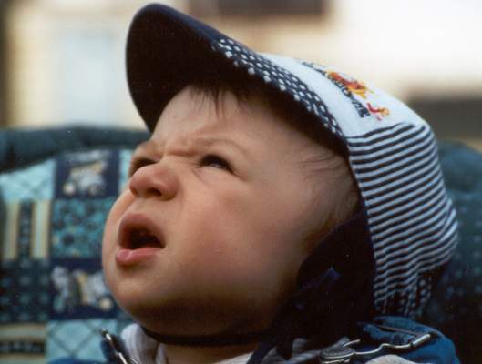 A tie vrabce z toho taoa, trnk, brnk do taoa.